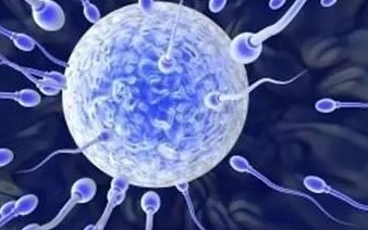 泰国哪（5个知名医院）做三代试管婴儿三代技术好