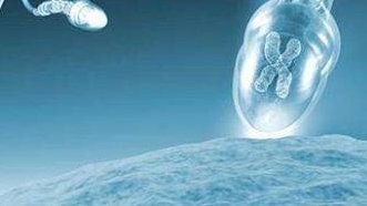 三代试管选做孩子是真的吗花多少钱能选试管？