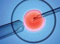 日本如何提高试管婴儿成功率