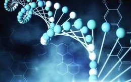 襄阳三代试管婴儿什么时候纳入医保？