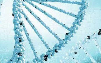 上海仁济三代试管多少钱？