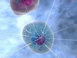 高龄试管助孕几次能成功？试管助孕做一次的成功需要的条件介绍